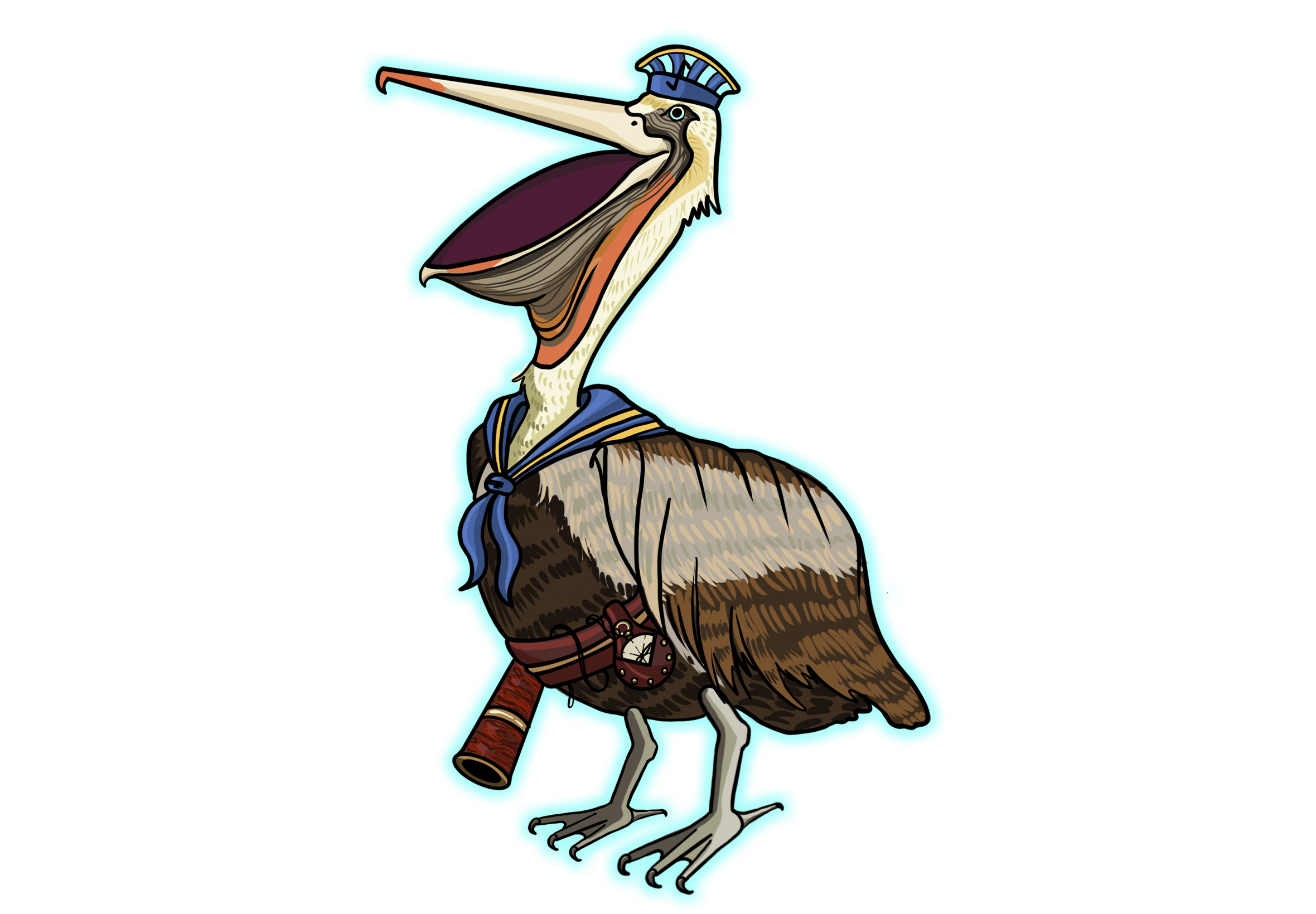 Navigator Pelican Illustration